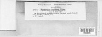 Oedohysterium insidens image